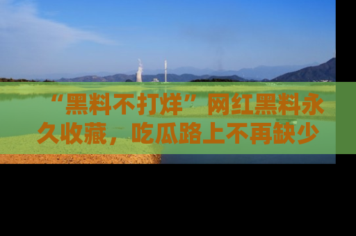 “黑料不打烊”网红黑料永久收藏，吃瓜路上不再缺少惊喜与乐趣