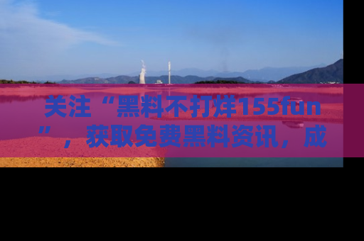 关注“黑料不打烊155fun”，获取免费黑料资讯，成为吃瓜达人不再难！