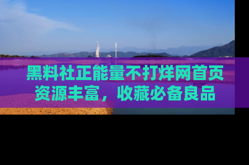 黑料社正能量不打烊网首页资源丰富，收藏必备良品