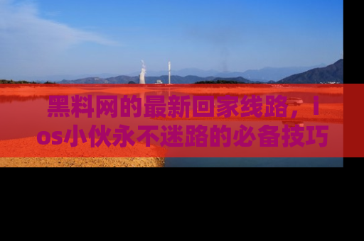 黑料网的最新回家线路，ios小伙永不迷路的必备技巧！