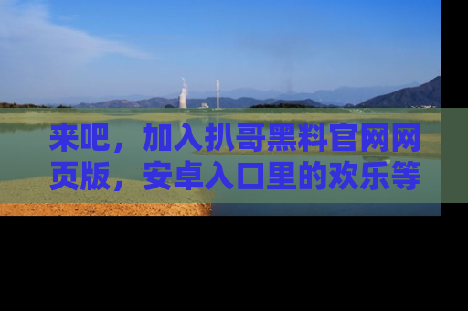 来吧，加入扒哥黑料官网网页版，安卓入口里的欢乐等着你！